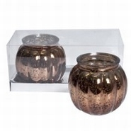 Pompoen cognac 7x8 cm